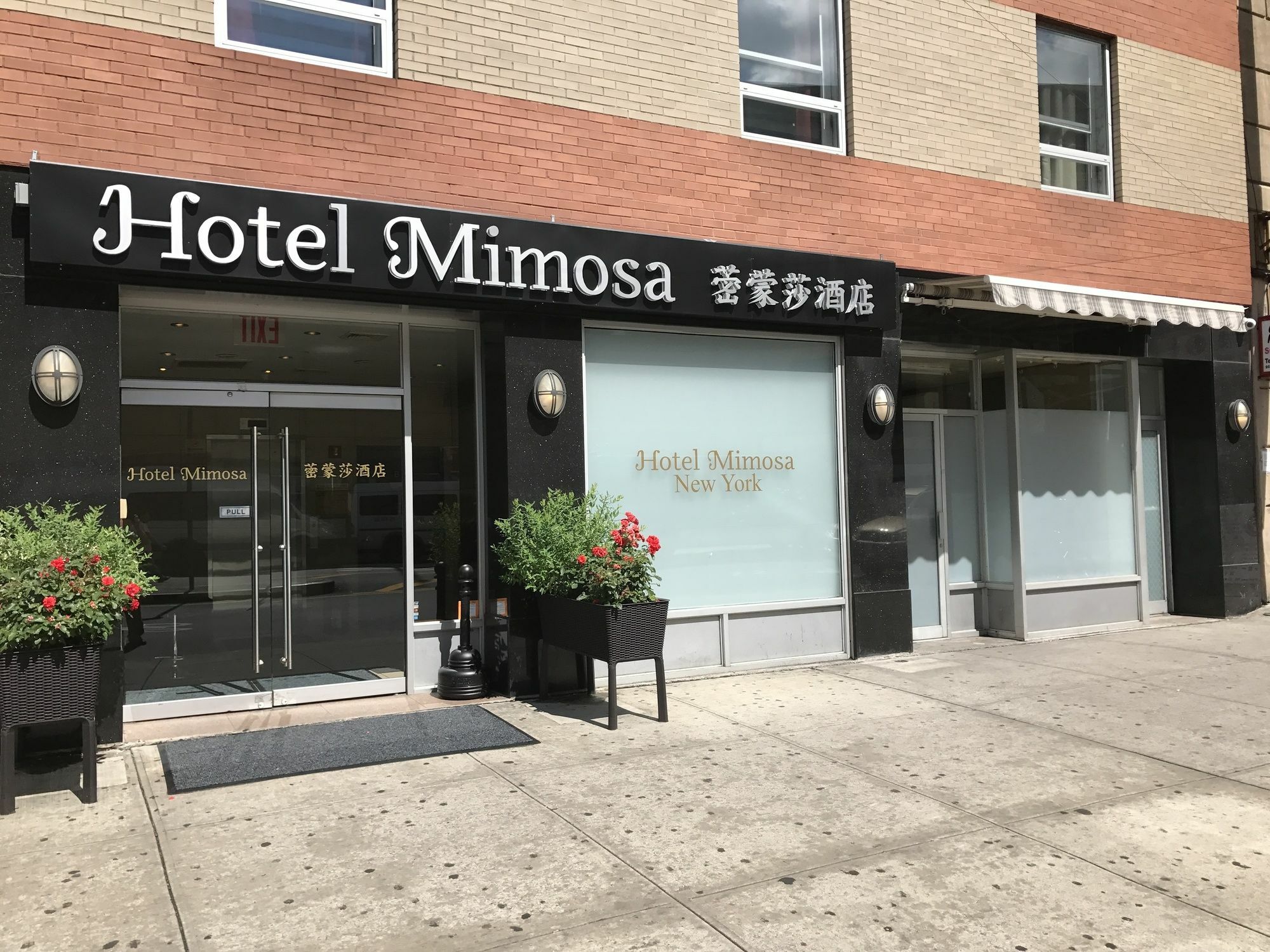 Hotel Mimosa New York Bagian luar foto